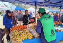 EL MERCADO EN TU BARRIO LLEGA A CIUDAD DEL MILAGRO