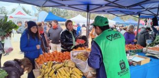 EL MERCADO EN TU BARRIO LLEGA A CIUDAD DEL MILAGRO