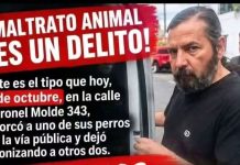 MALTRATO ANIMAL: EL ENERGUMENO QUE INTENTÓ ASESINAR A “NEGRITA” SE LLAMA PABLO CARDOS Y FUE TRASLADADO AL HOSPITAL RAGONE