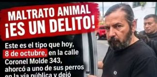 MALTRATO ANIMAL: EL ENERGUMENO QUE INTENTÓ ASESINAR A “NEGRITA” SE LLAMA PABLO CARDOS Y FUE TRASLADADO AL HOSPITAL RAGONE