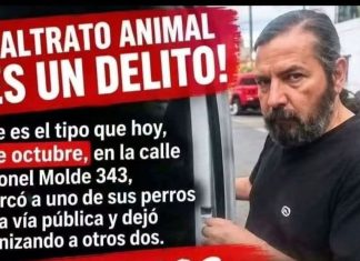 MALTRATO ANIMAL: EL ENERGUMENO QUE INTENTÓ ASESINAR A “NEGRITA” SE LLAMA PABLO CARDOS Y FUE TRASLADADO AL HOSPITAL RAGONE